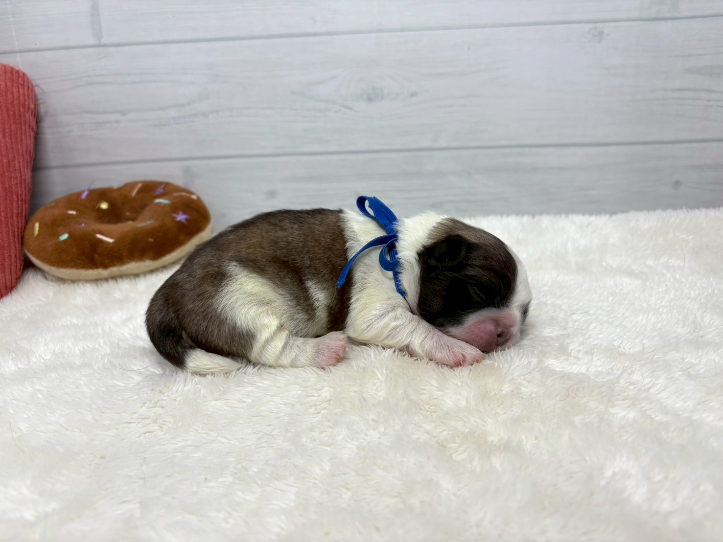 赤ちゃん写真1-2