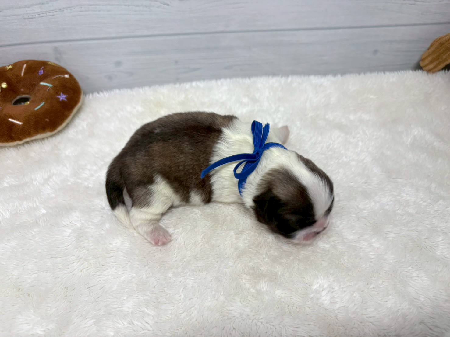 赤ちゃん写真1-3