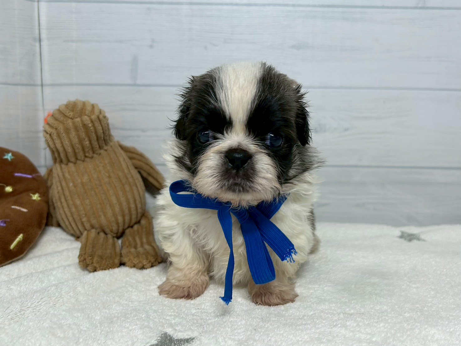 赤ちゃん写真2-1