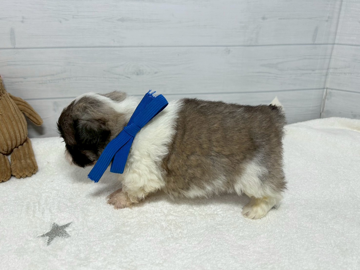 赤ちゃん写真2-2