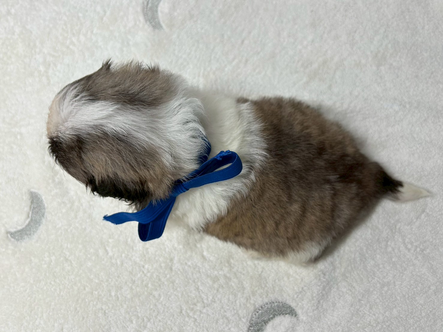 赤ちゃん写真2-3