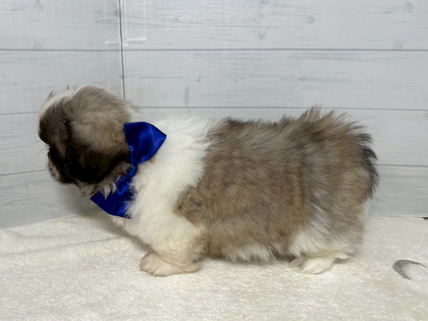 赤ちゃん写真3-2