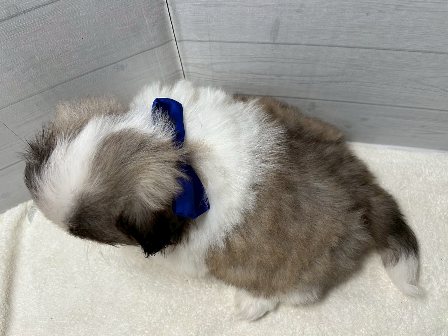 赤ちゃん写真3-3