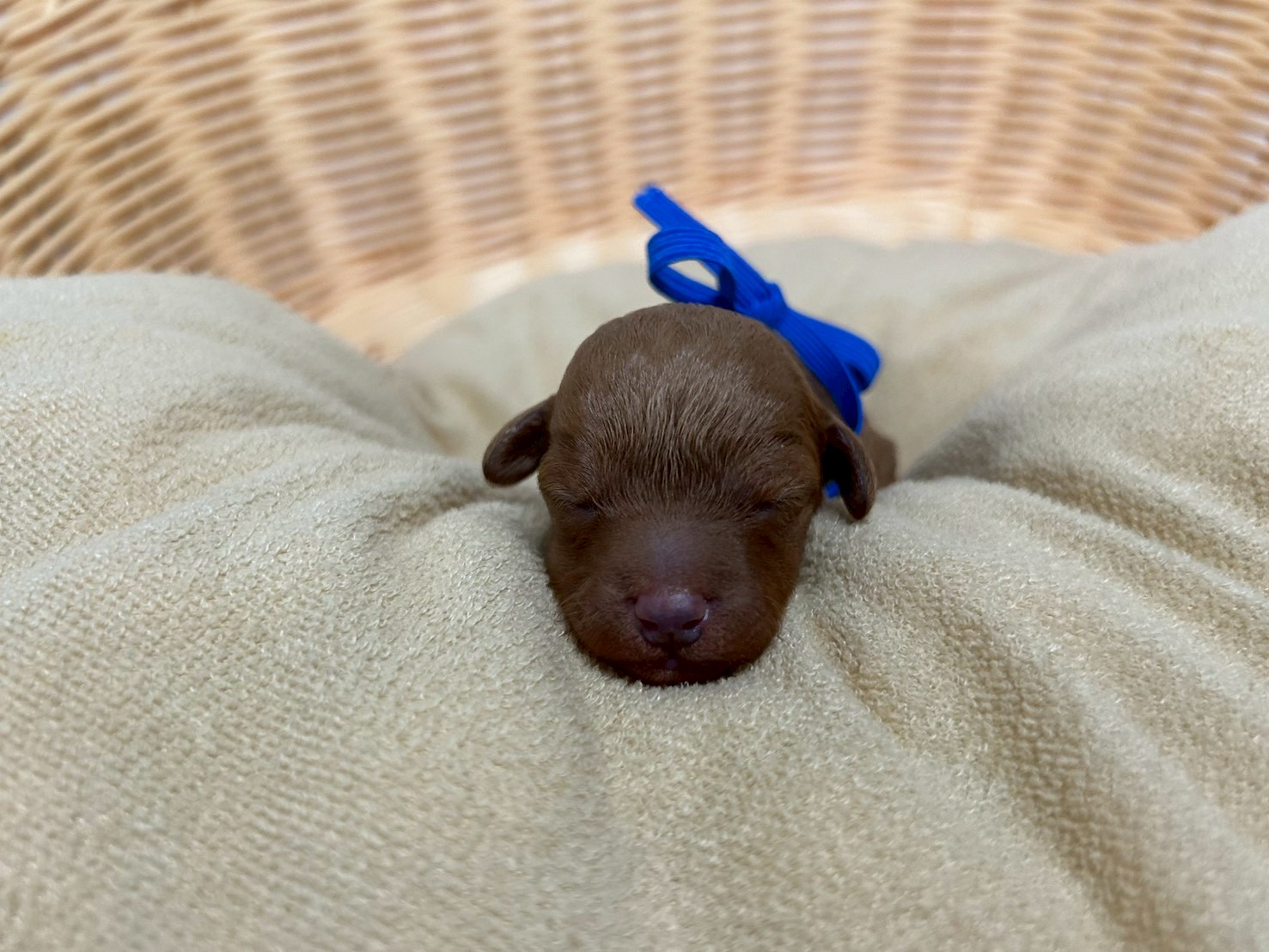 赤ちゃん写真1-1