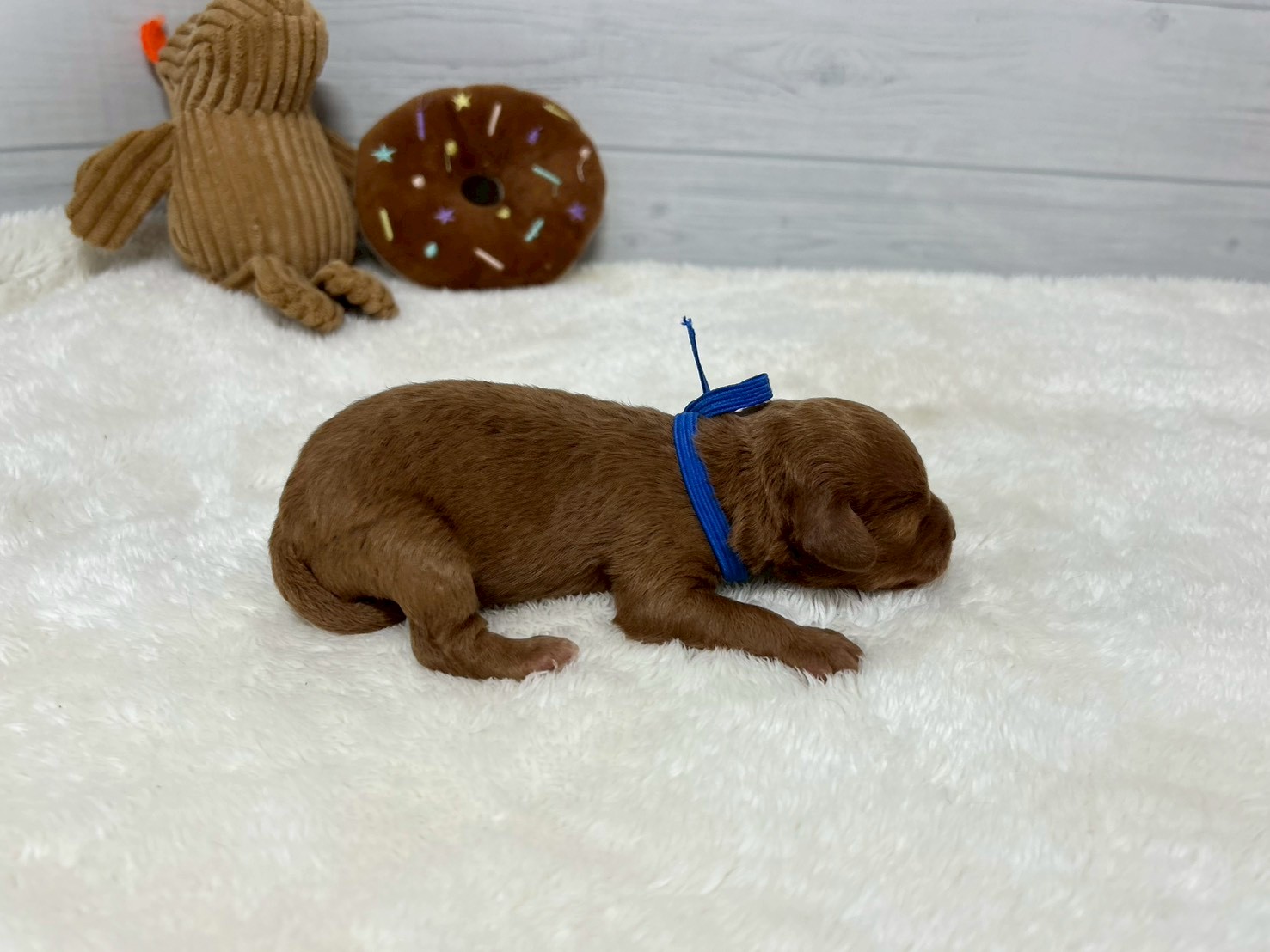 赤ちゃん写真1-2