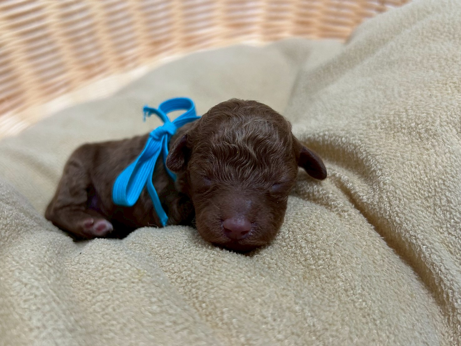 赤ちゃん写真1-1