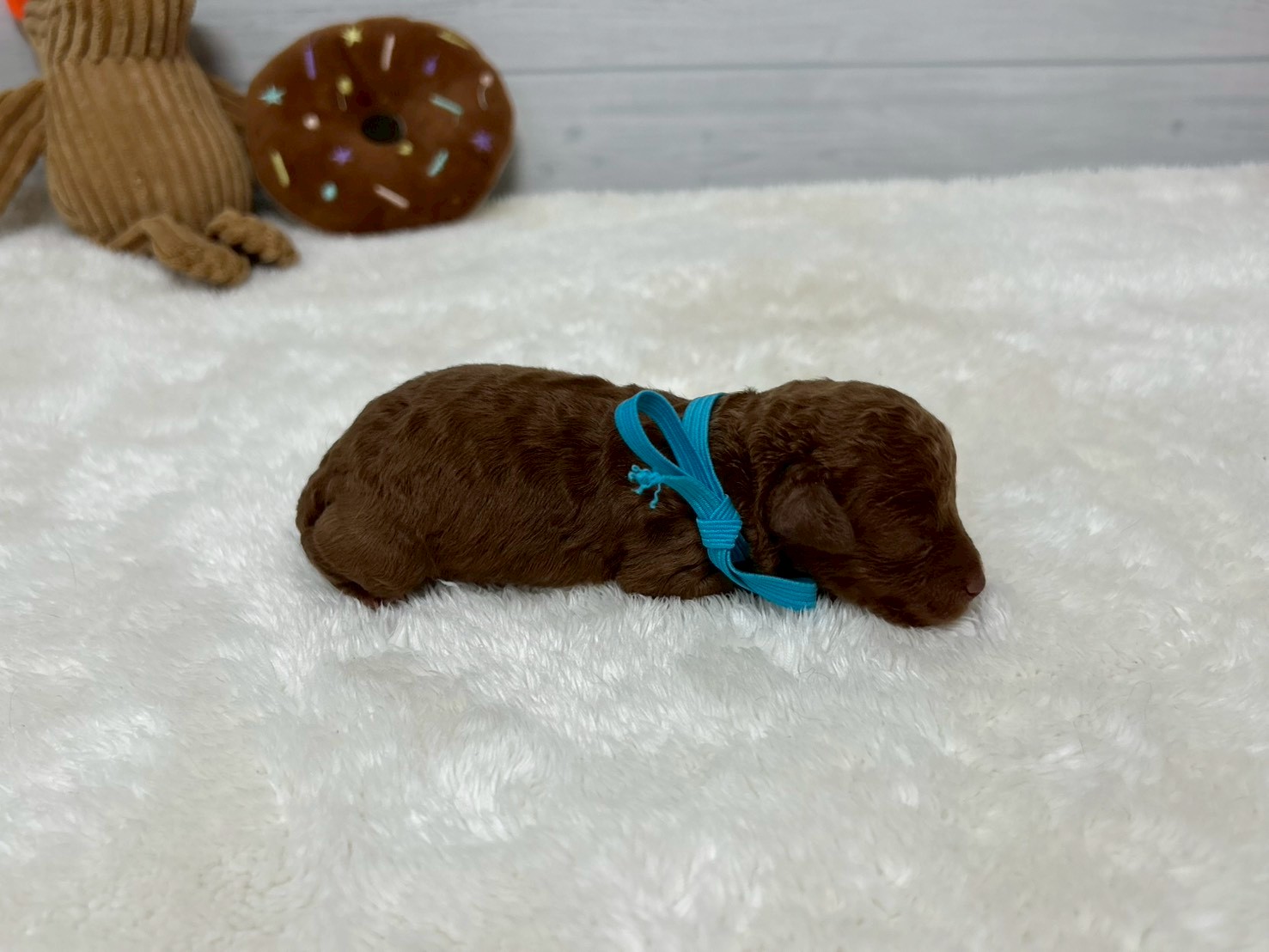 赤ちゃん写真1-2