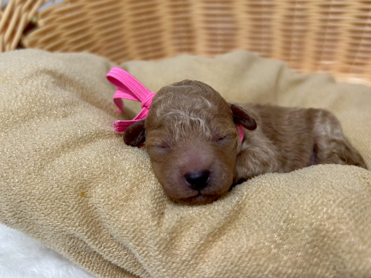 赤ちゃん写真1-1