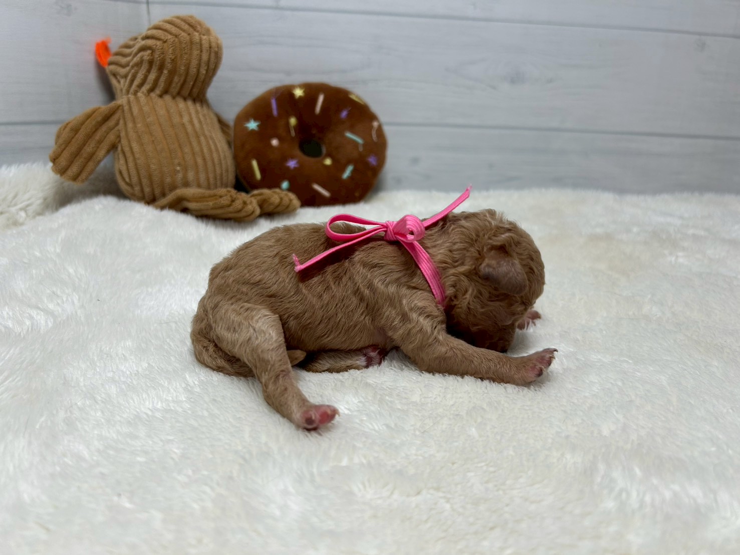 赤ちゃん写真1-2