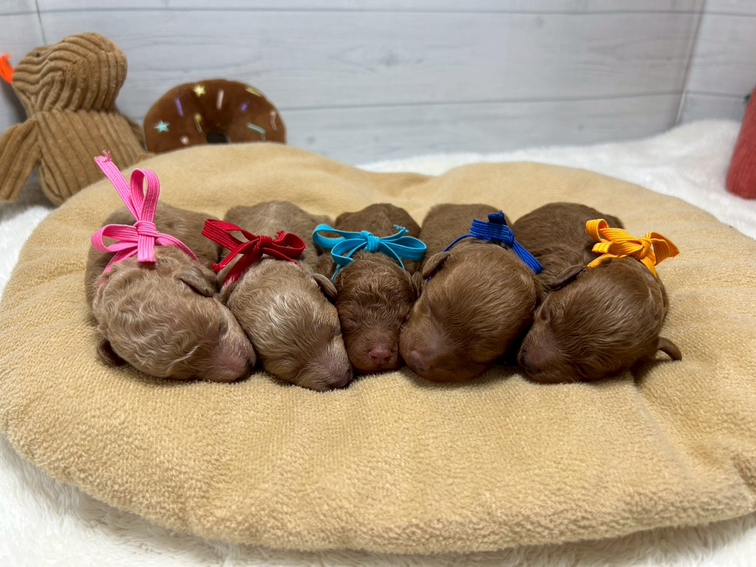 赤ちゃん写真1-3