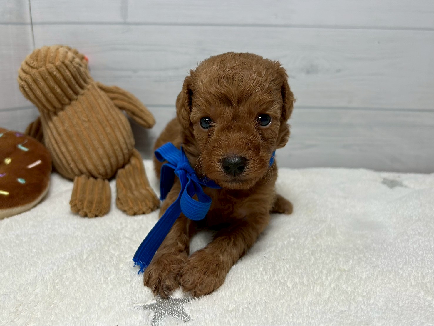 赤ちゃん写真2-1