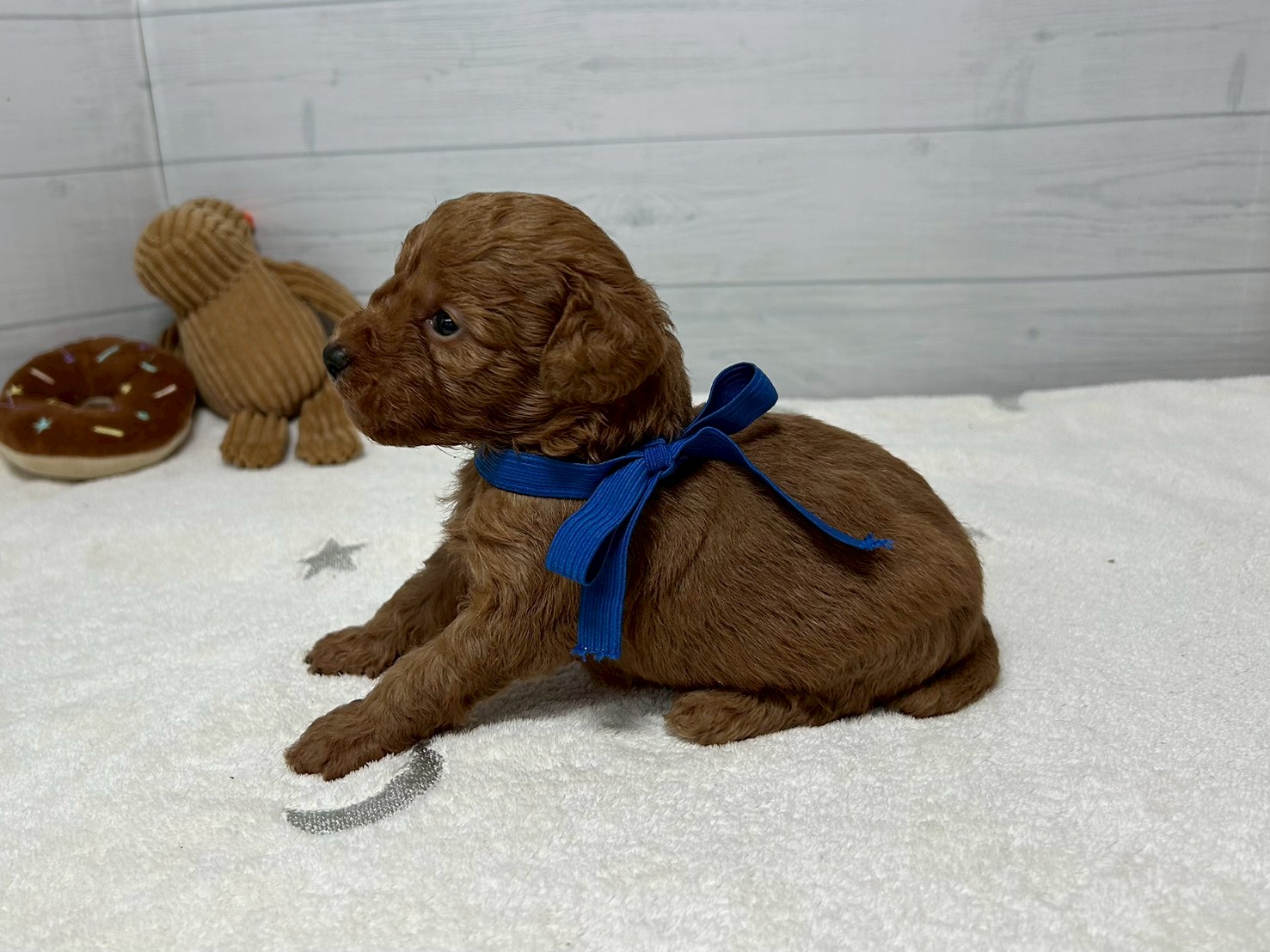 赤ちゃん写真2-2