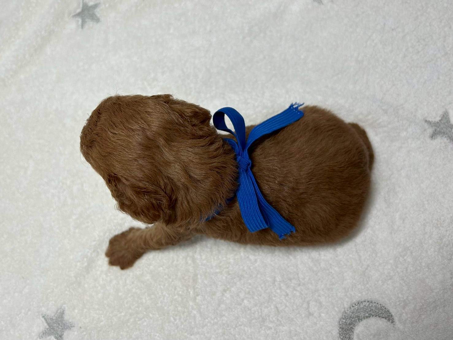 赤ちゃん写真2-3