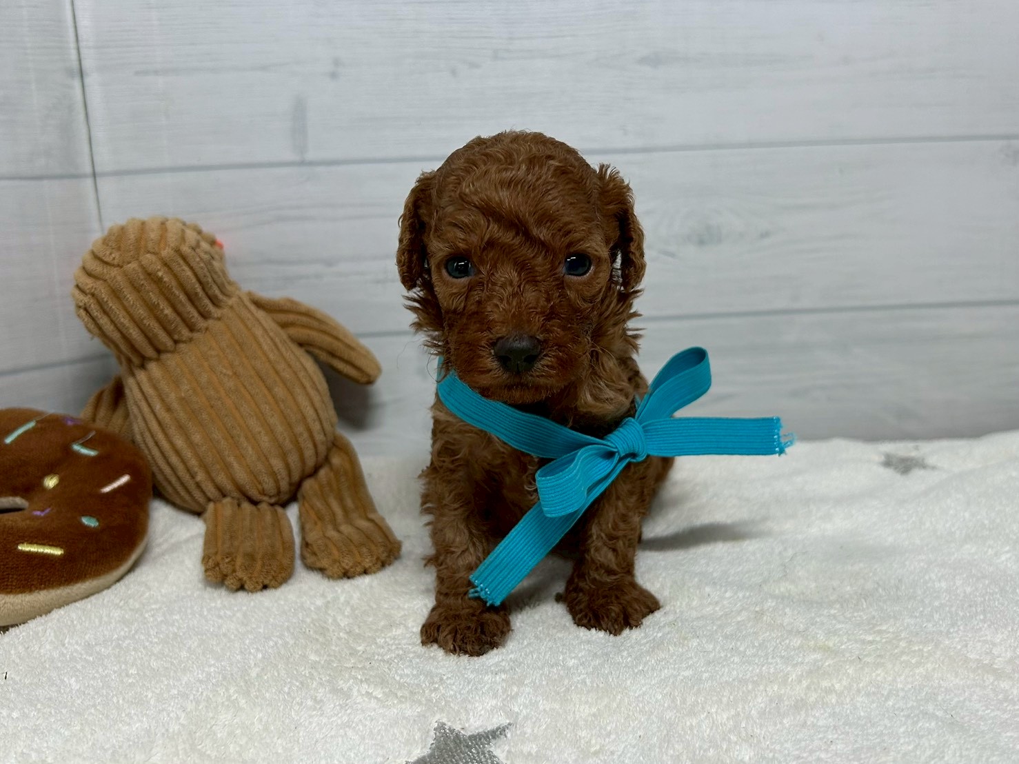 赤ちゃん写真2-1