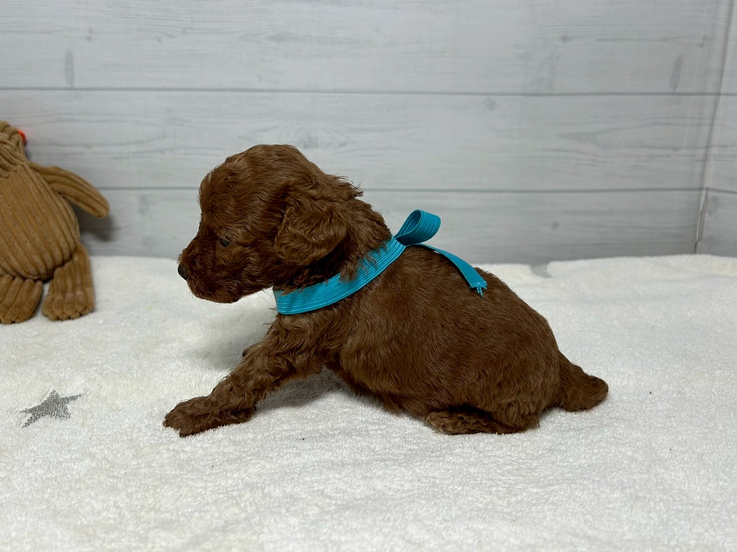 赤ちゃん写真2-2