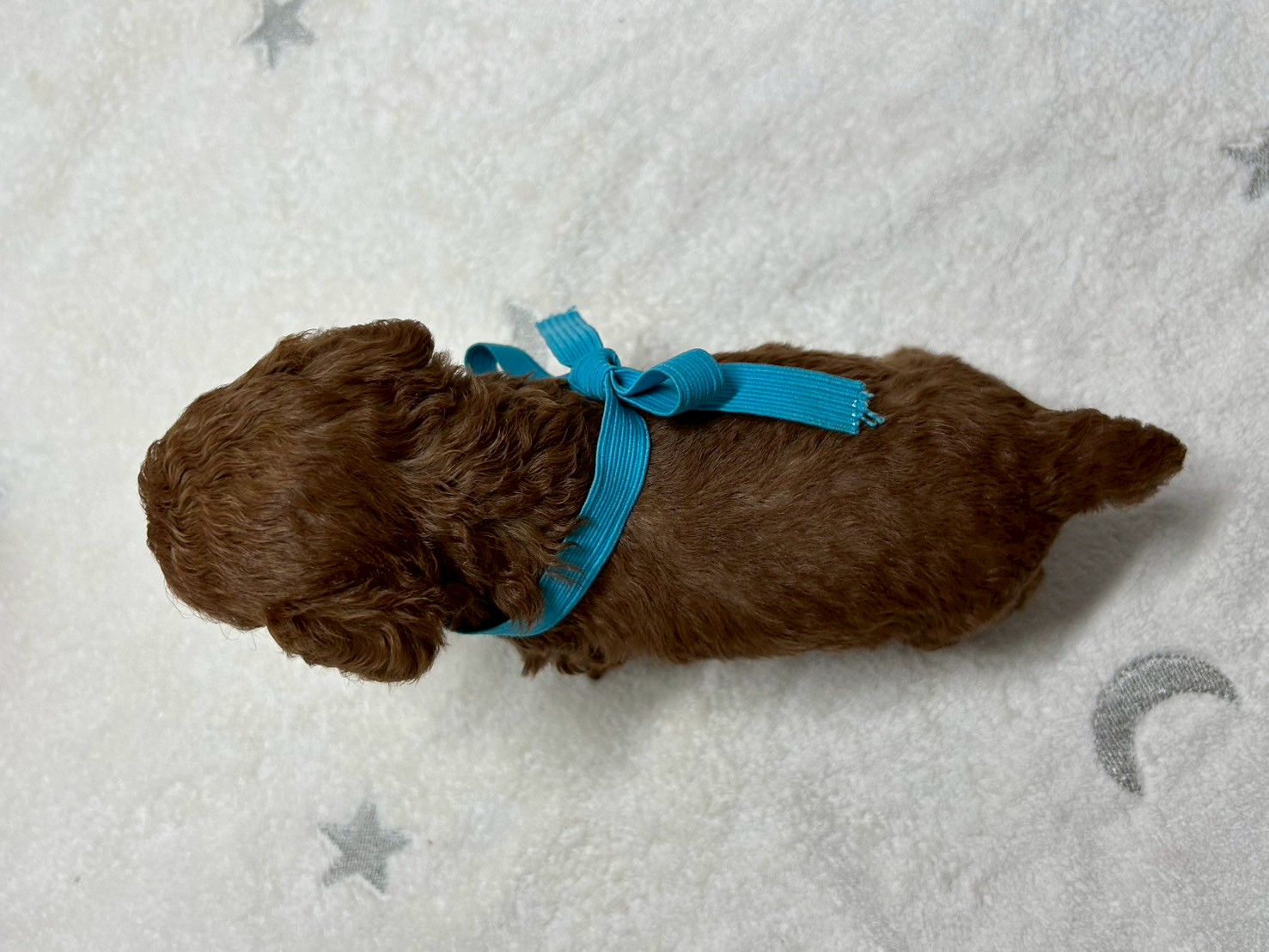 赤ちゃん写真2-3