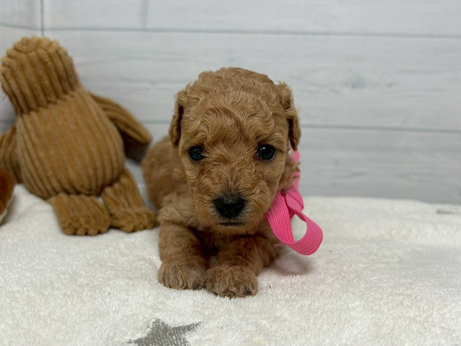 赤ちゃん写真2-1