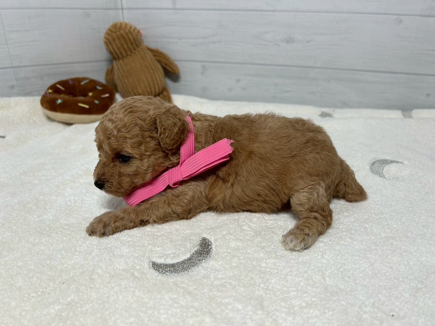 赤ちゃん写真2-2