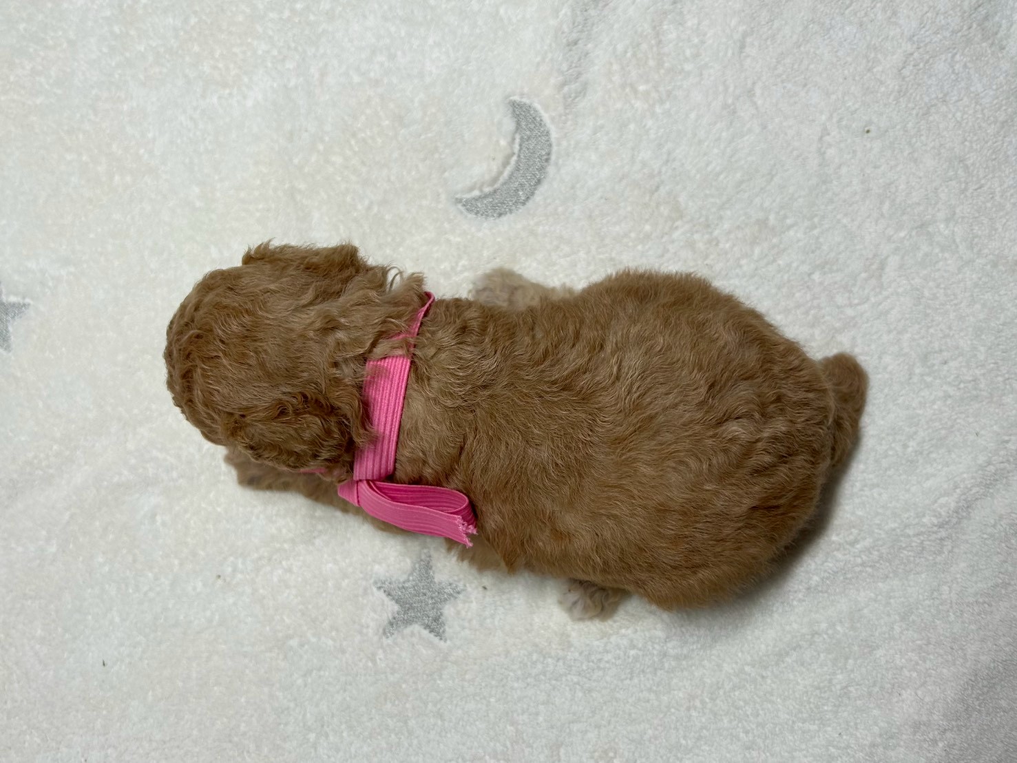 赤ちゃん写真2-3