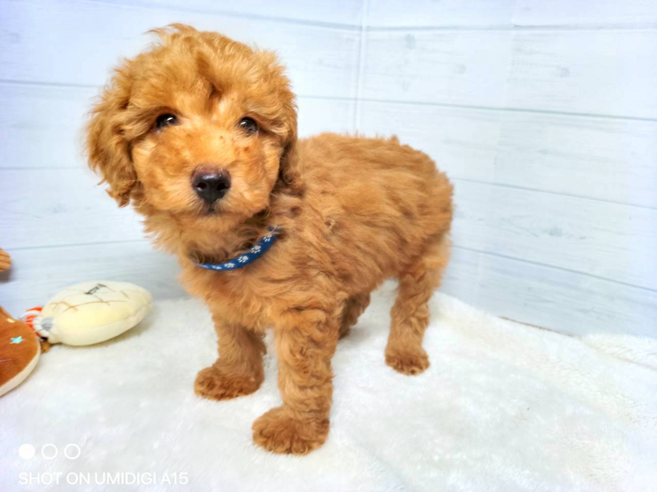 赤ちゃん写真3-1