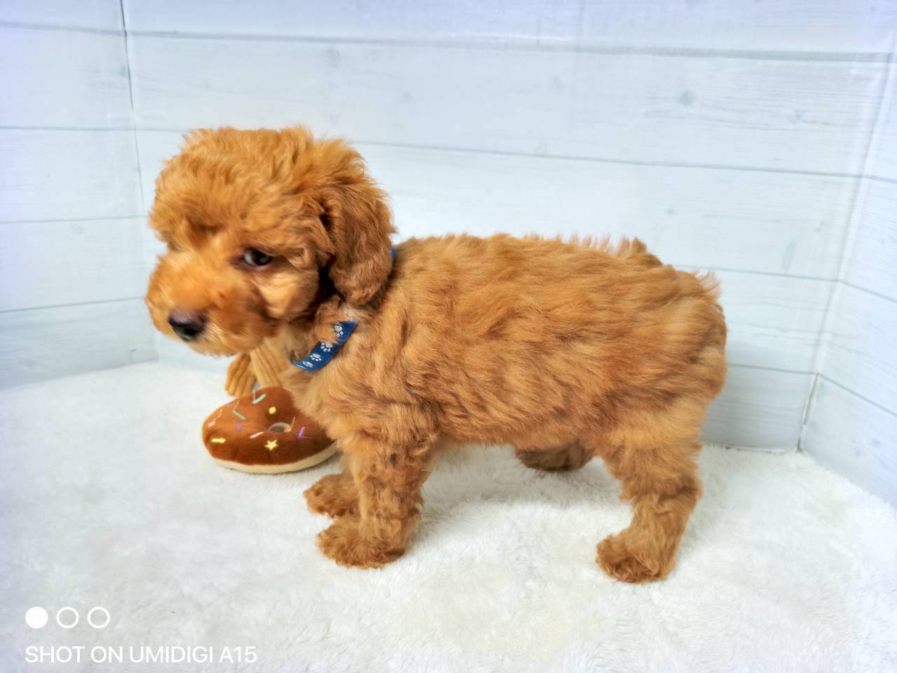 赤ちゃん写真3-2