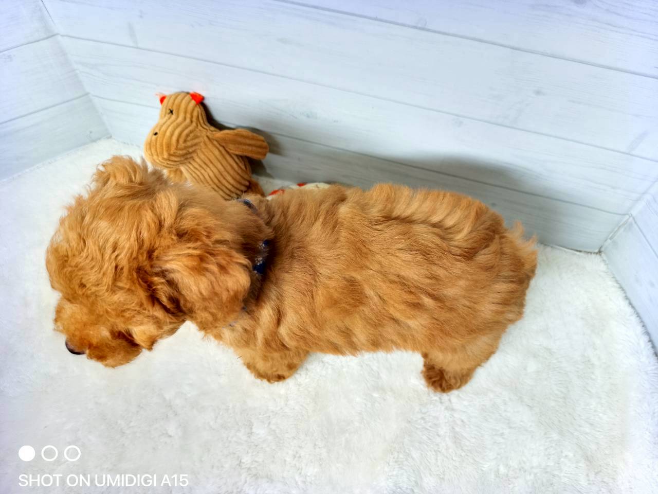 赤ちゃん写真3-3