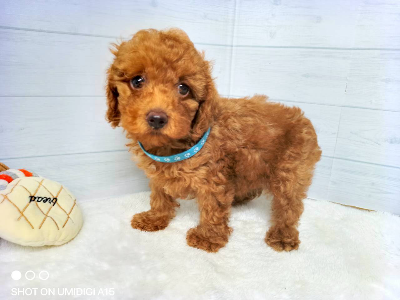 赤ちゃん写真3-1