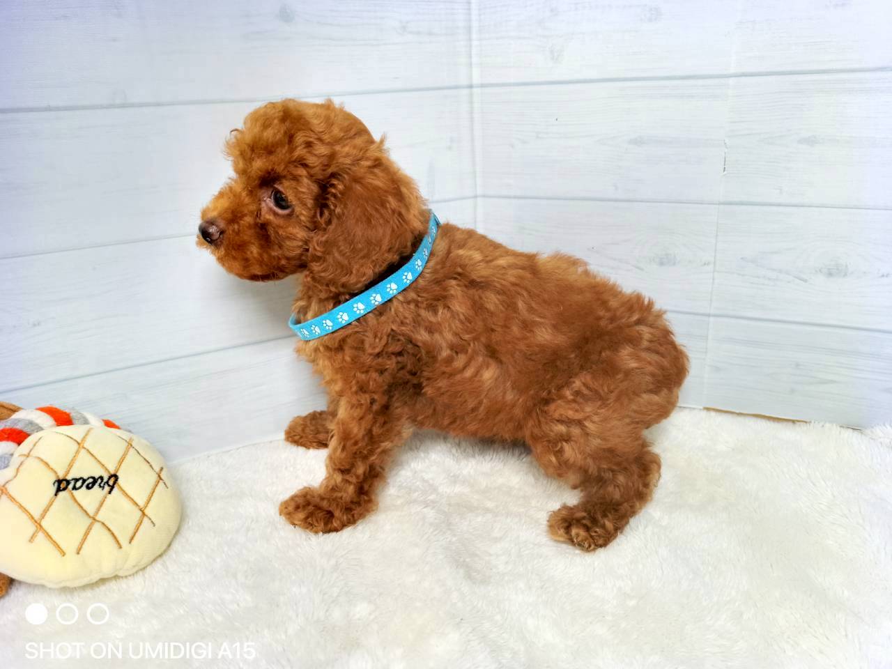 赤ちゃん写真3-2