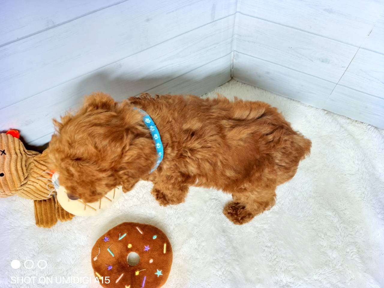 赤ちゃん写真3-3