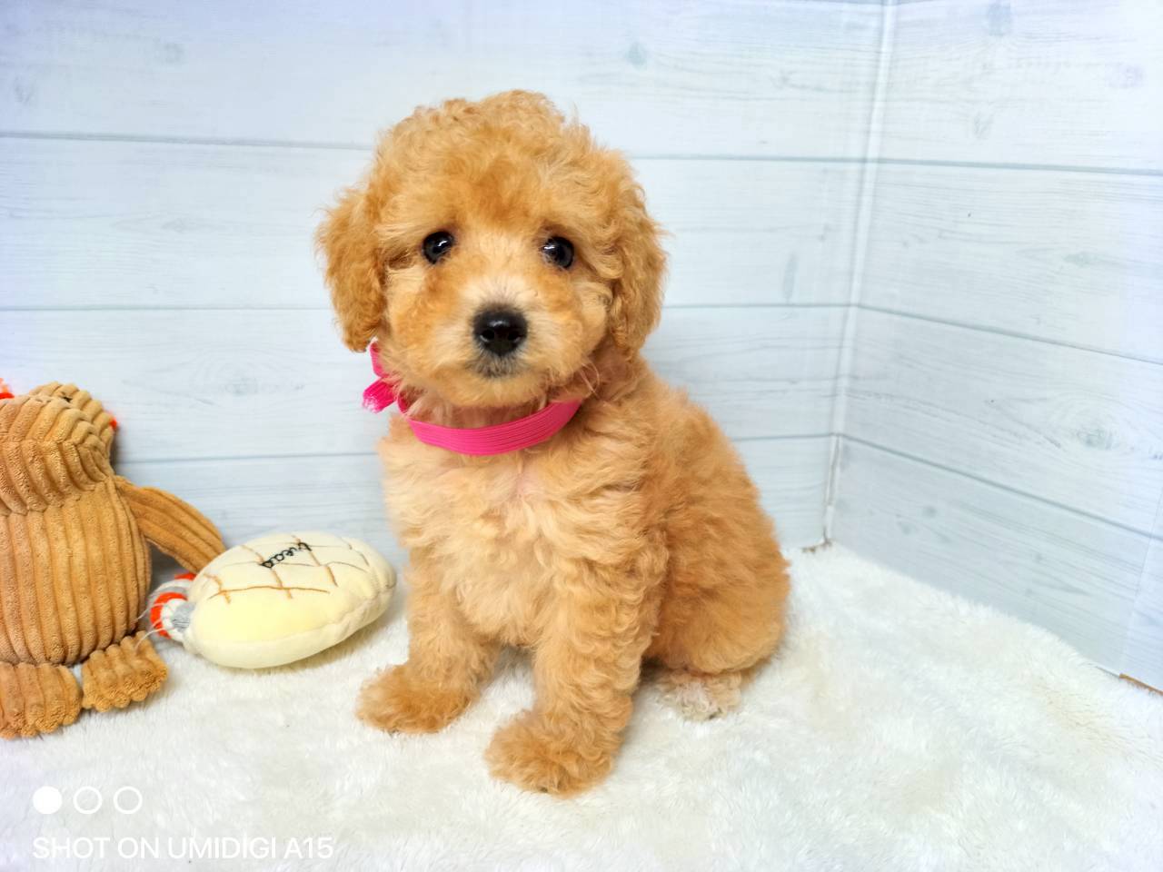 赤ちゃん写真3-1