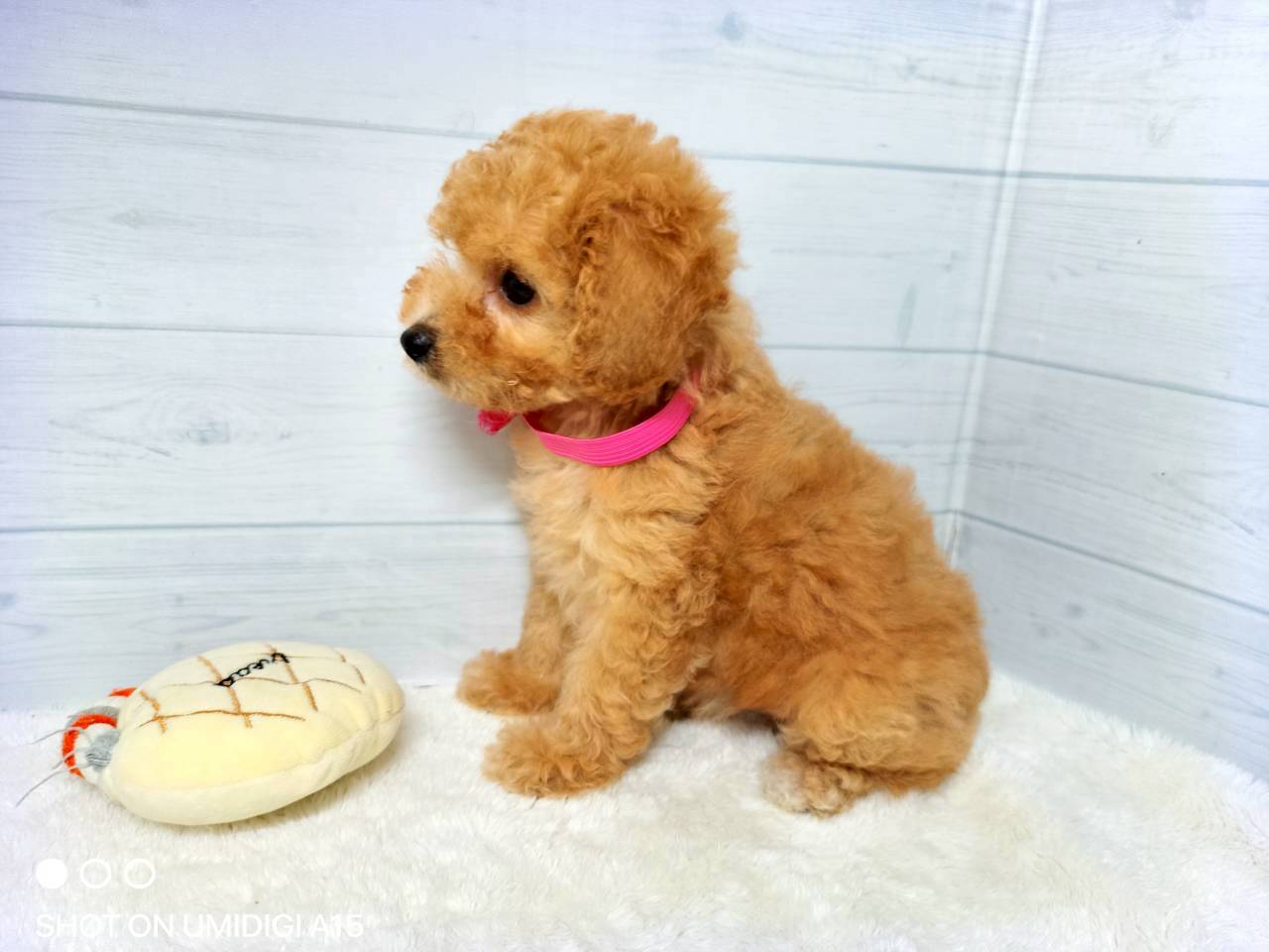 赤ちゃん写真3-2