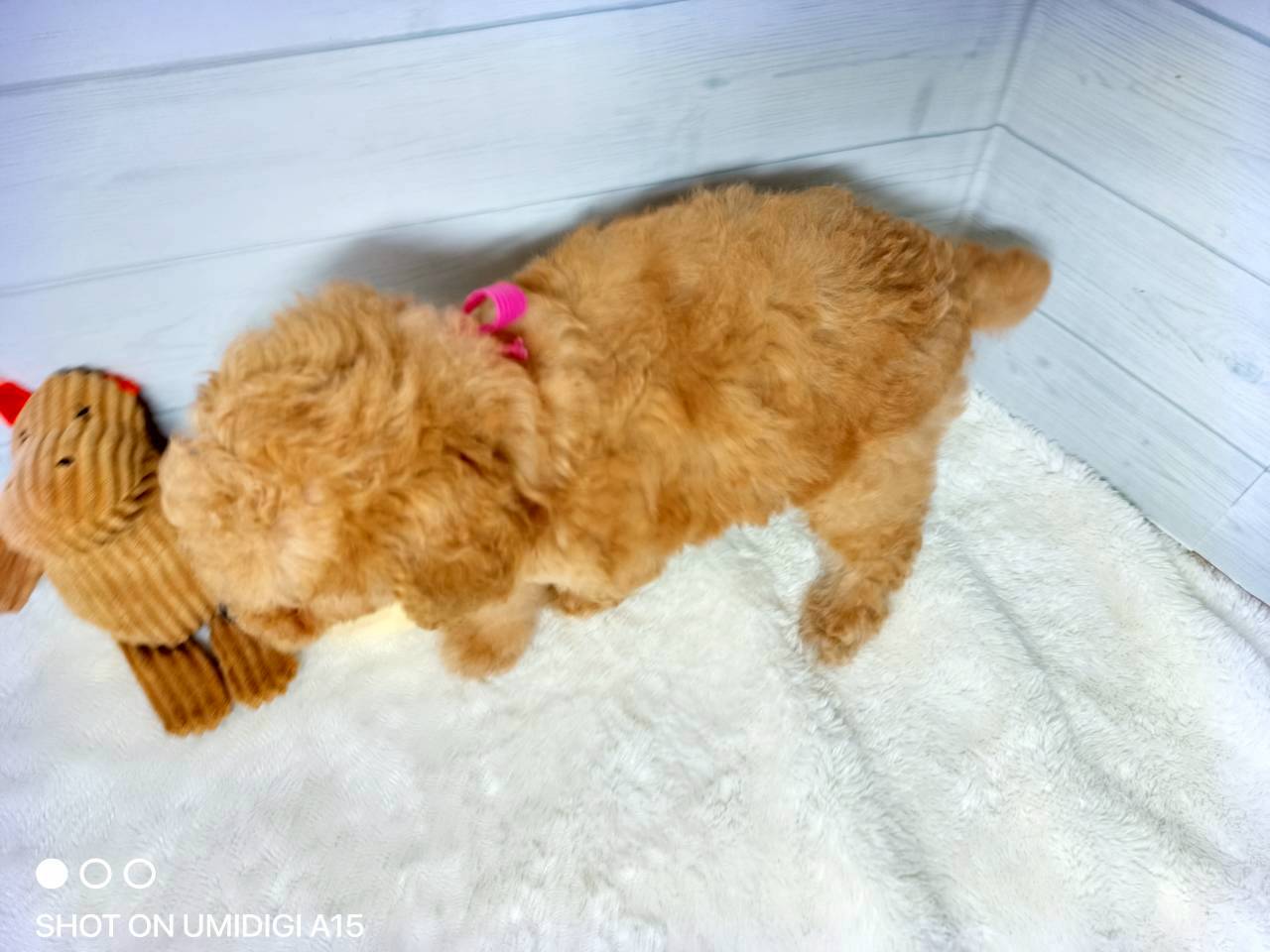 赤ちゃん写真3-3