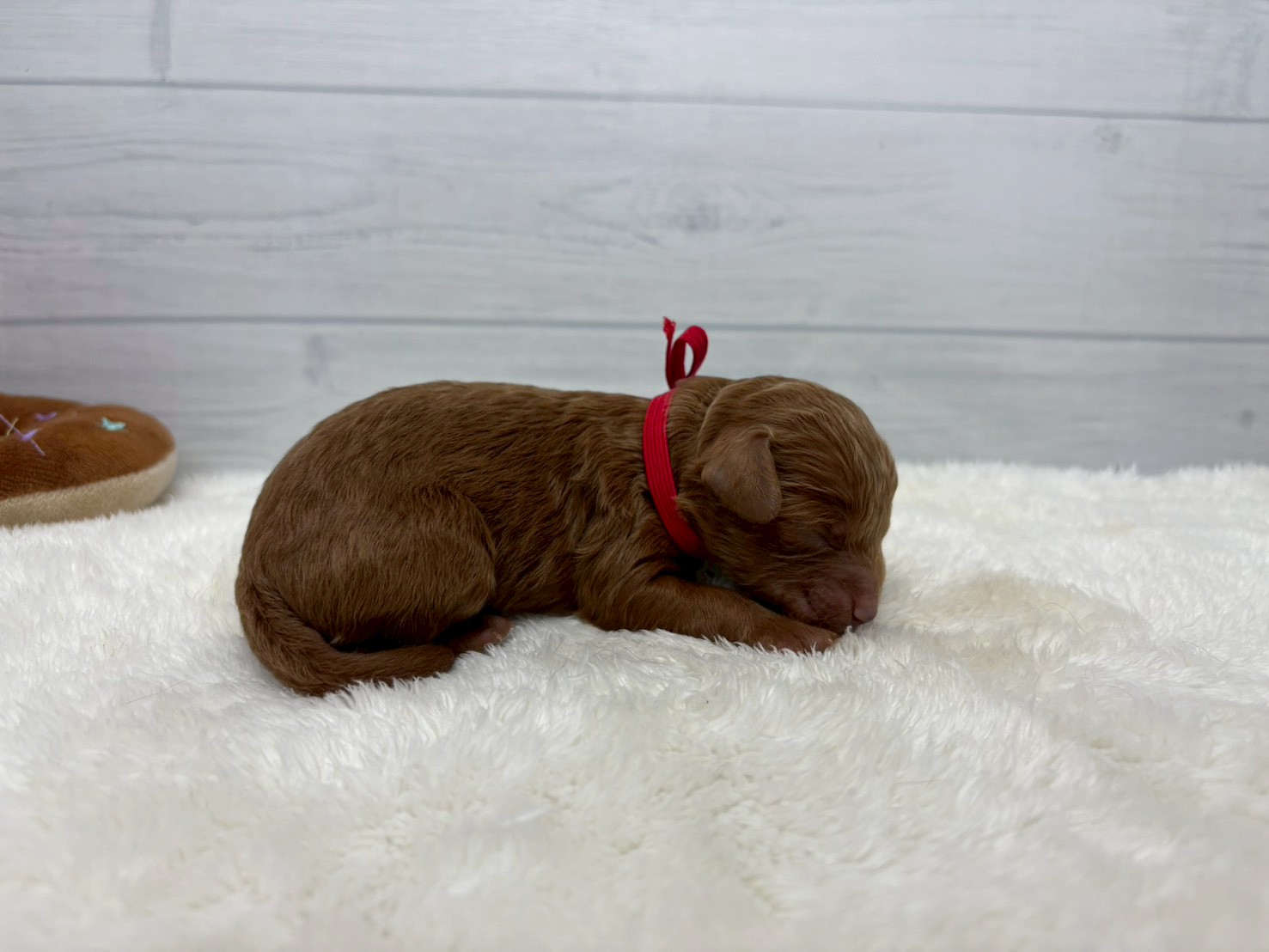 赤ちゃん写真1-2