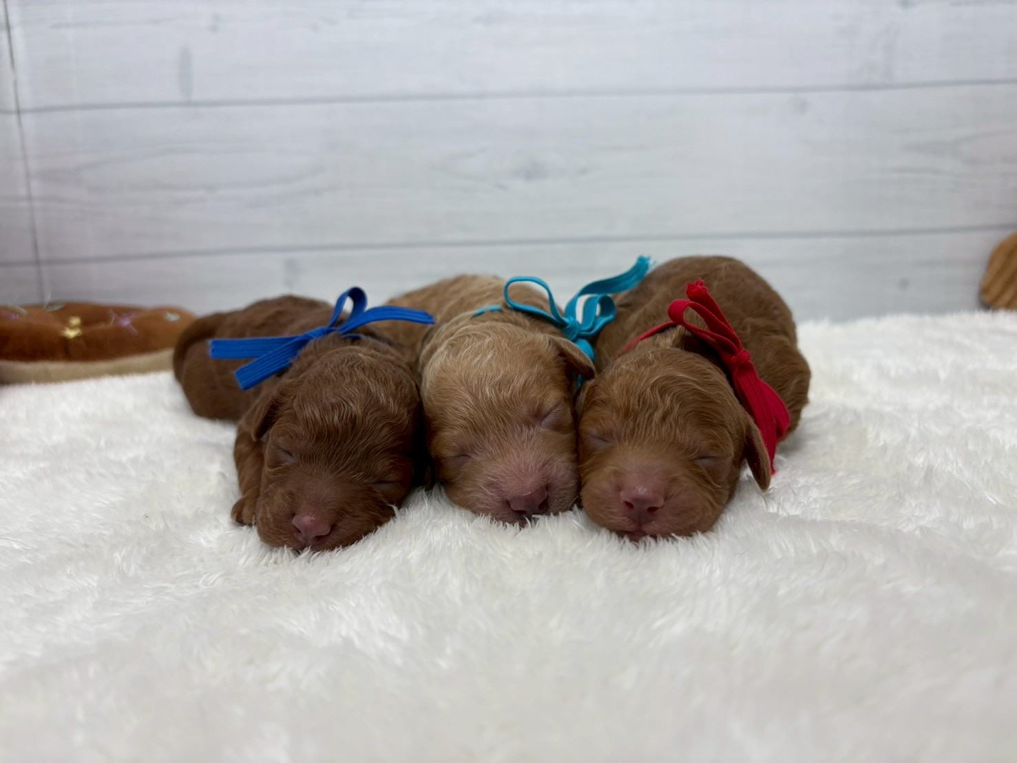 赤ちゃん写真1-3