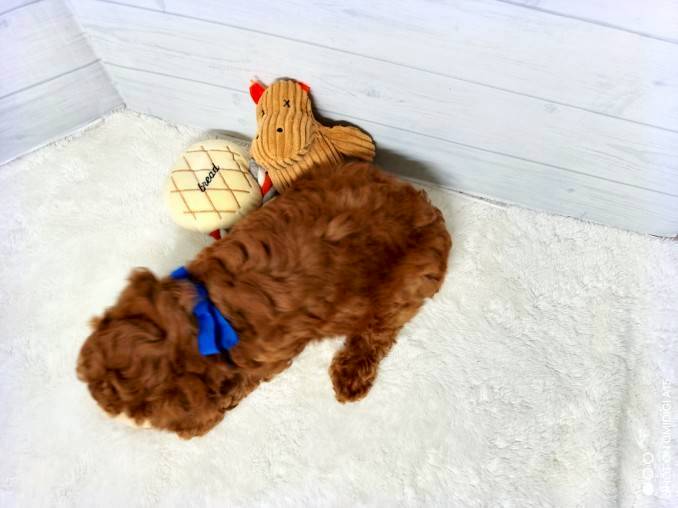 赤ちゃん写真3-3