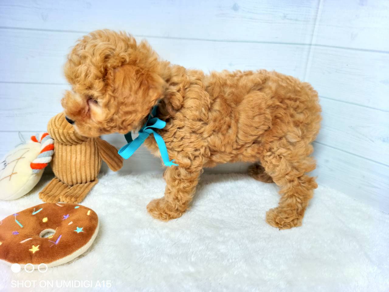 赤ちゃん写真3-2