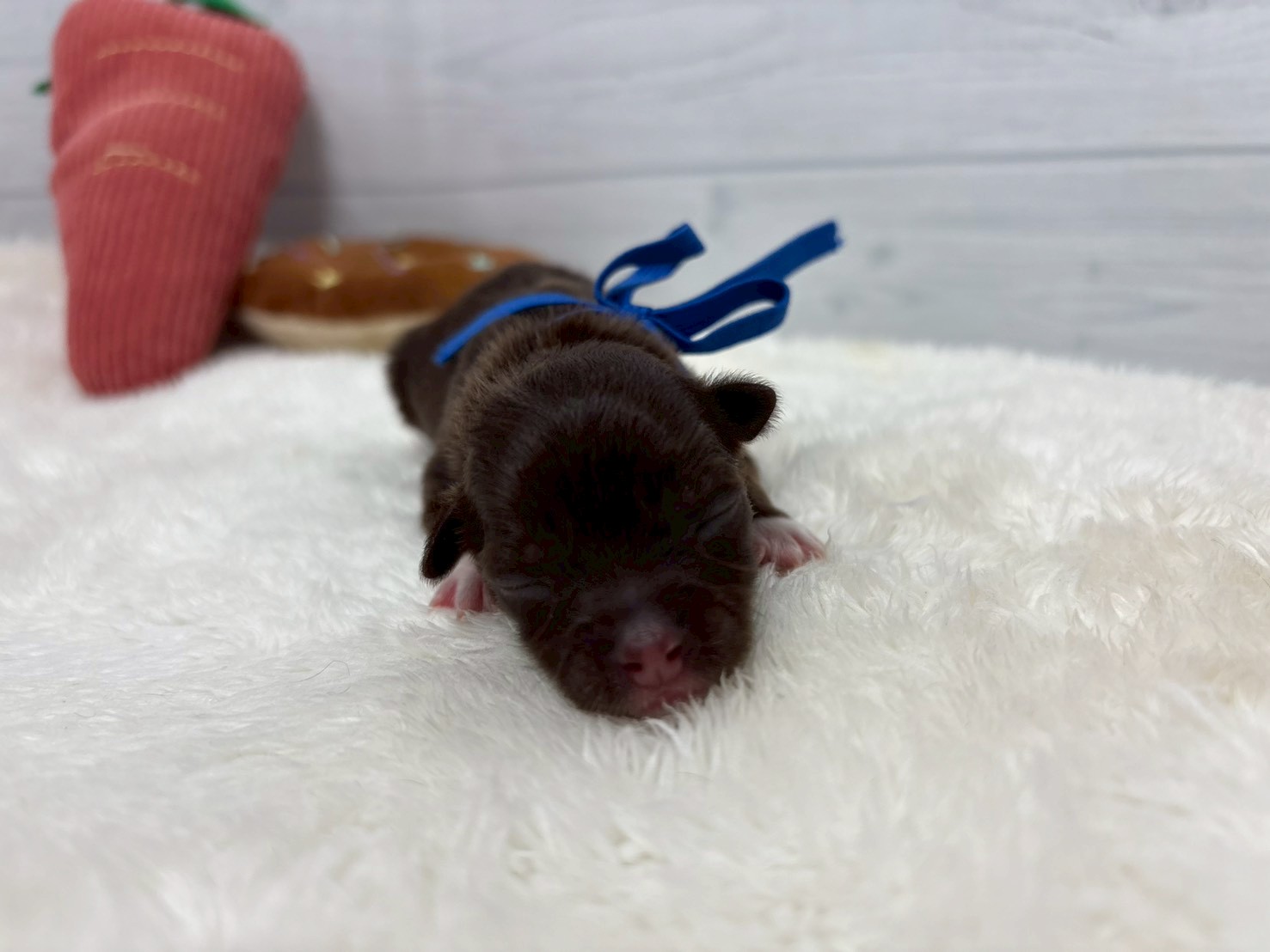 赤ちゃん写真1-1