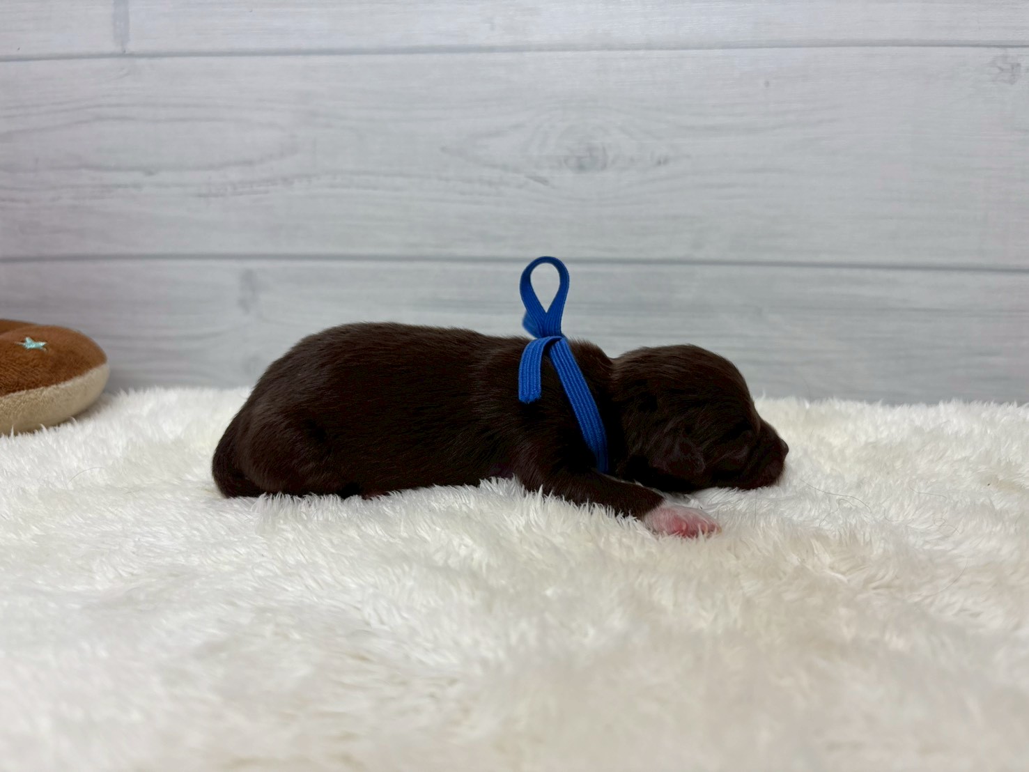 赤ちゃん写真1-2