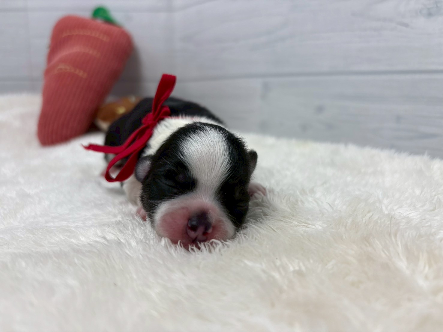 赤ちゃん写真1-1