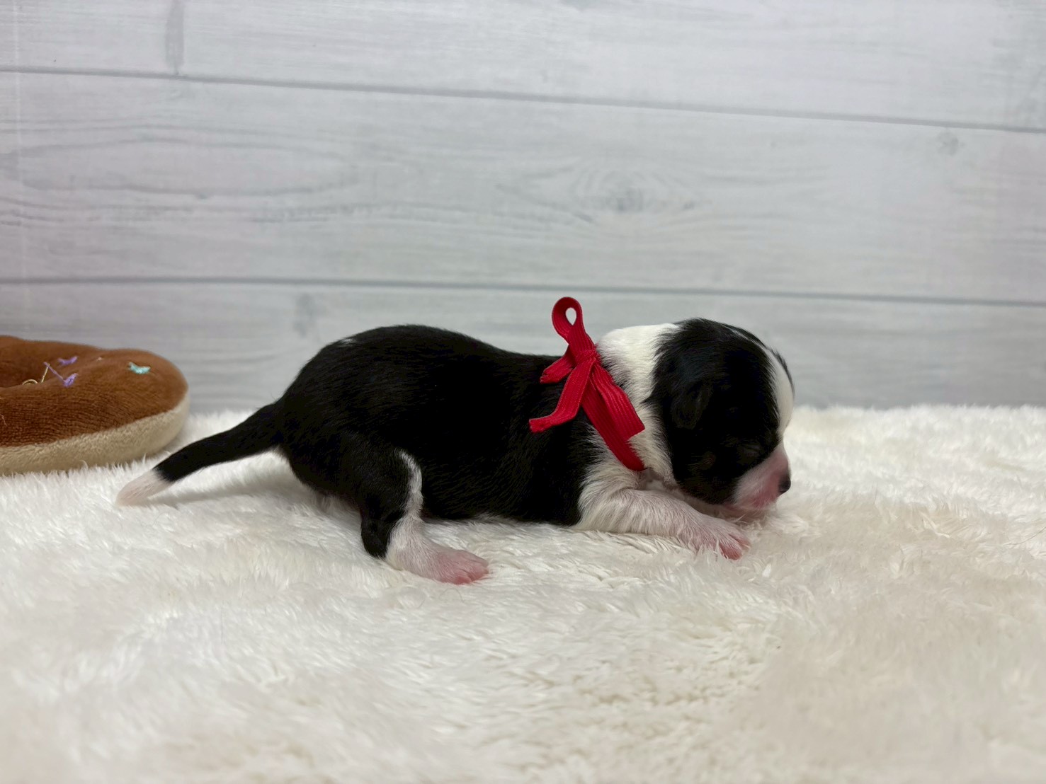 赤ちゃん写真1-2