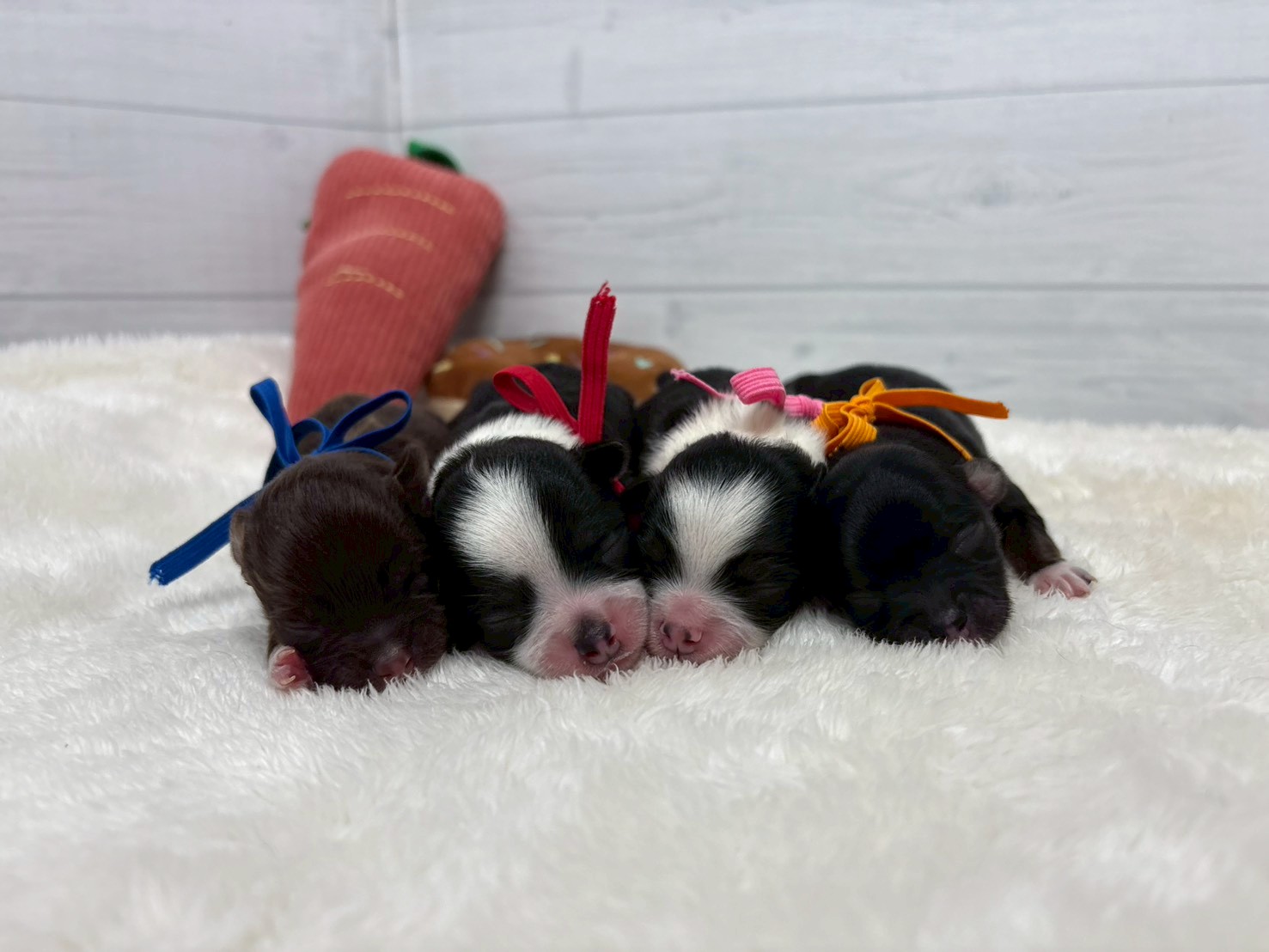 赤ちゃん写真1-3