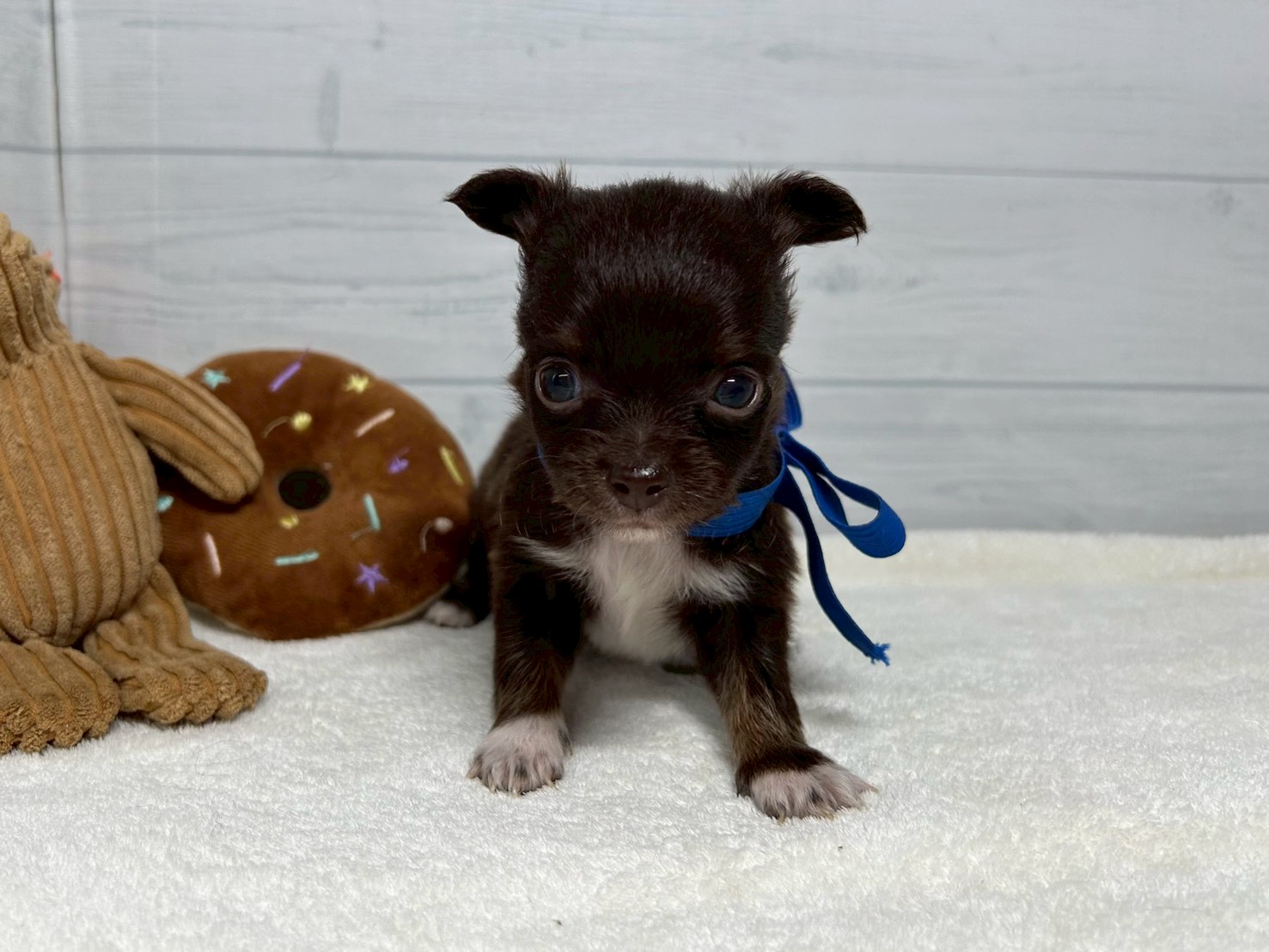 赤ちゃん写真2-1