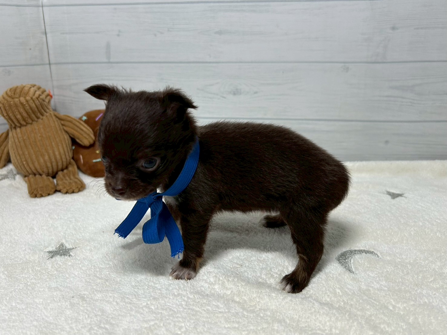 赤ちゃん写真2-2