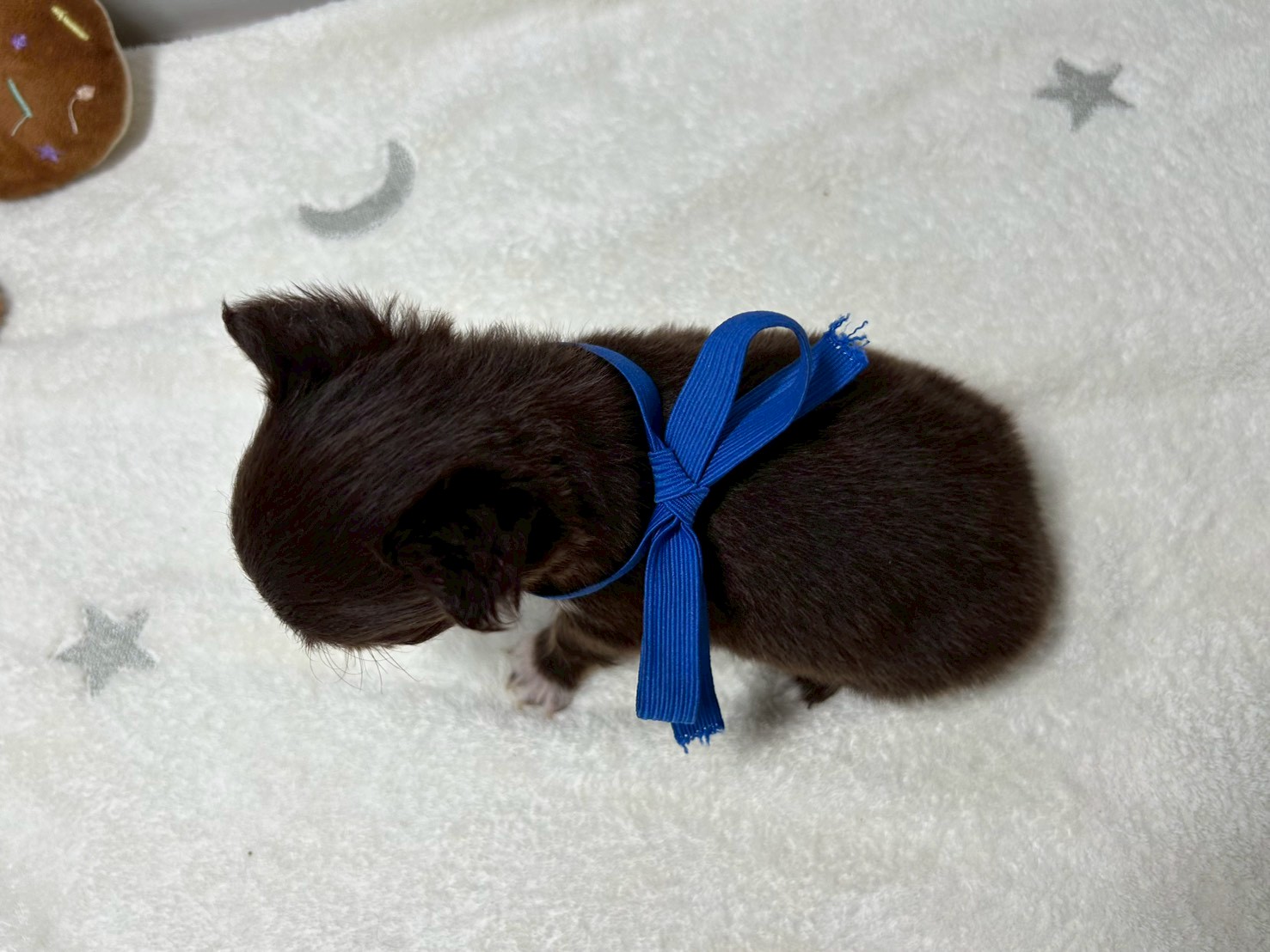 赤ちゃん写真2-3