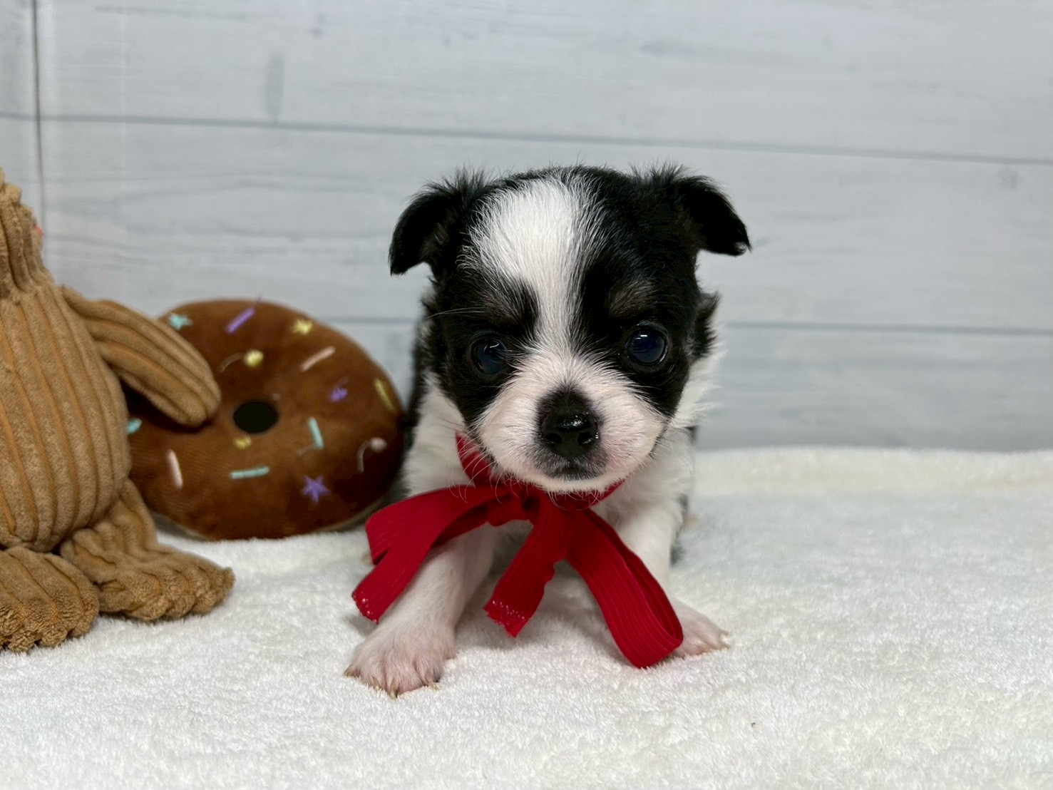 赤ちゃん写真2-1