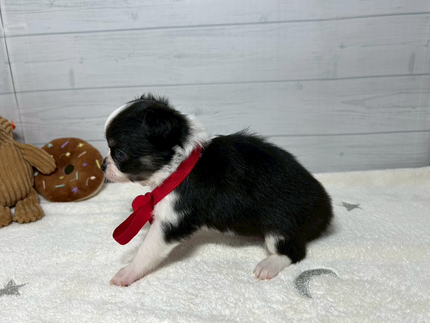 赤ちゃん写真2-2