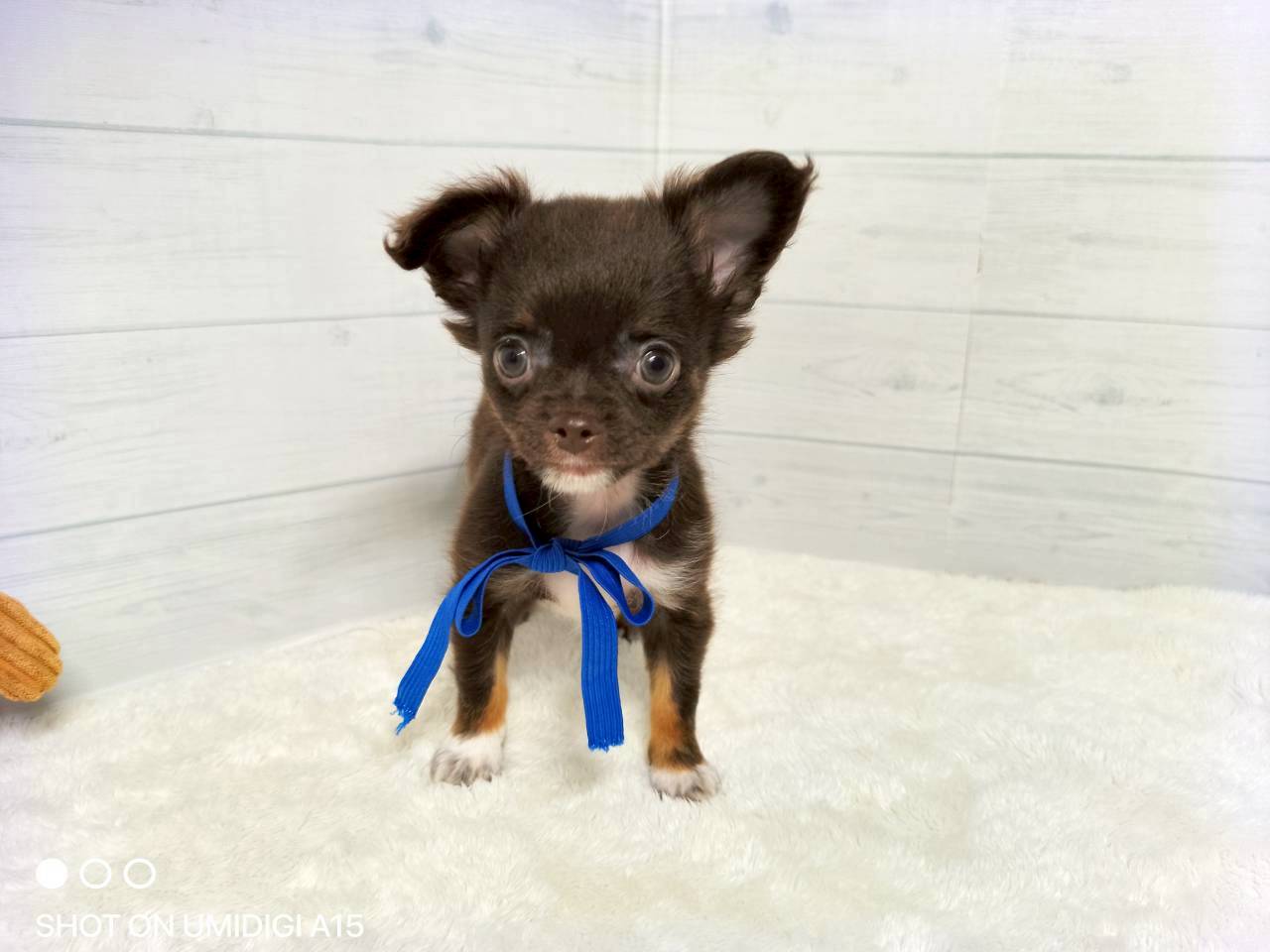 赤ちゃん写真3-1