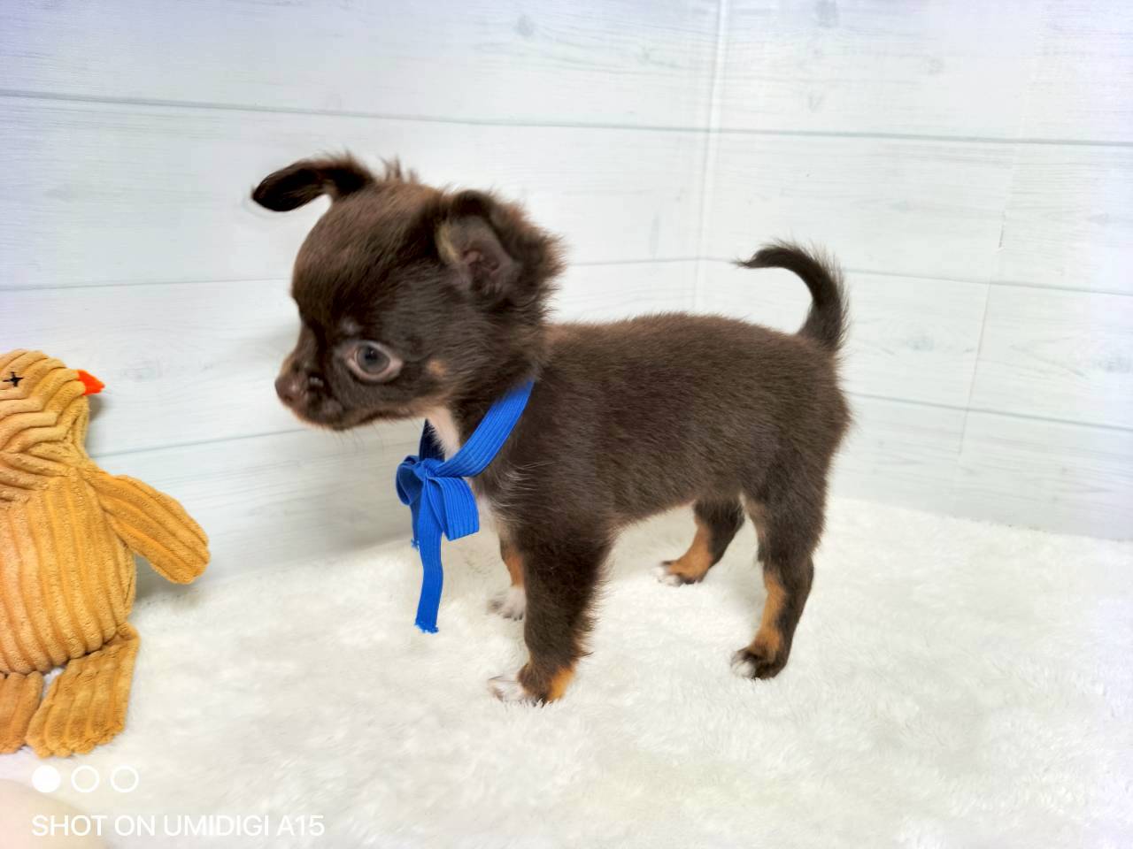 赤ちゃん写真3-2