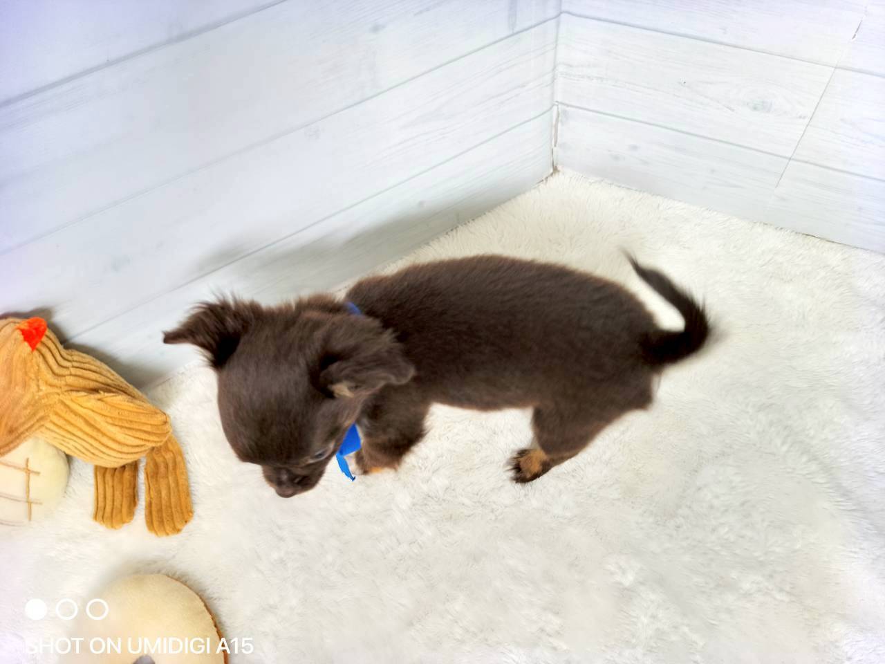 赤ちゃん写真3-3