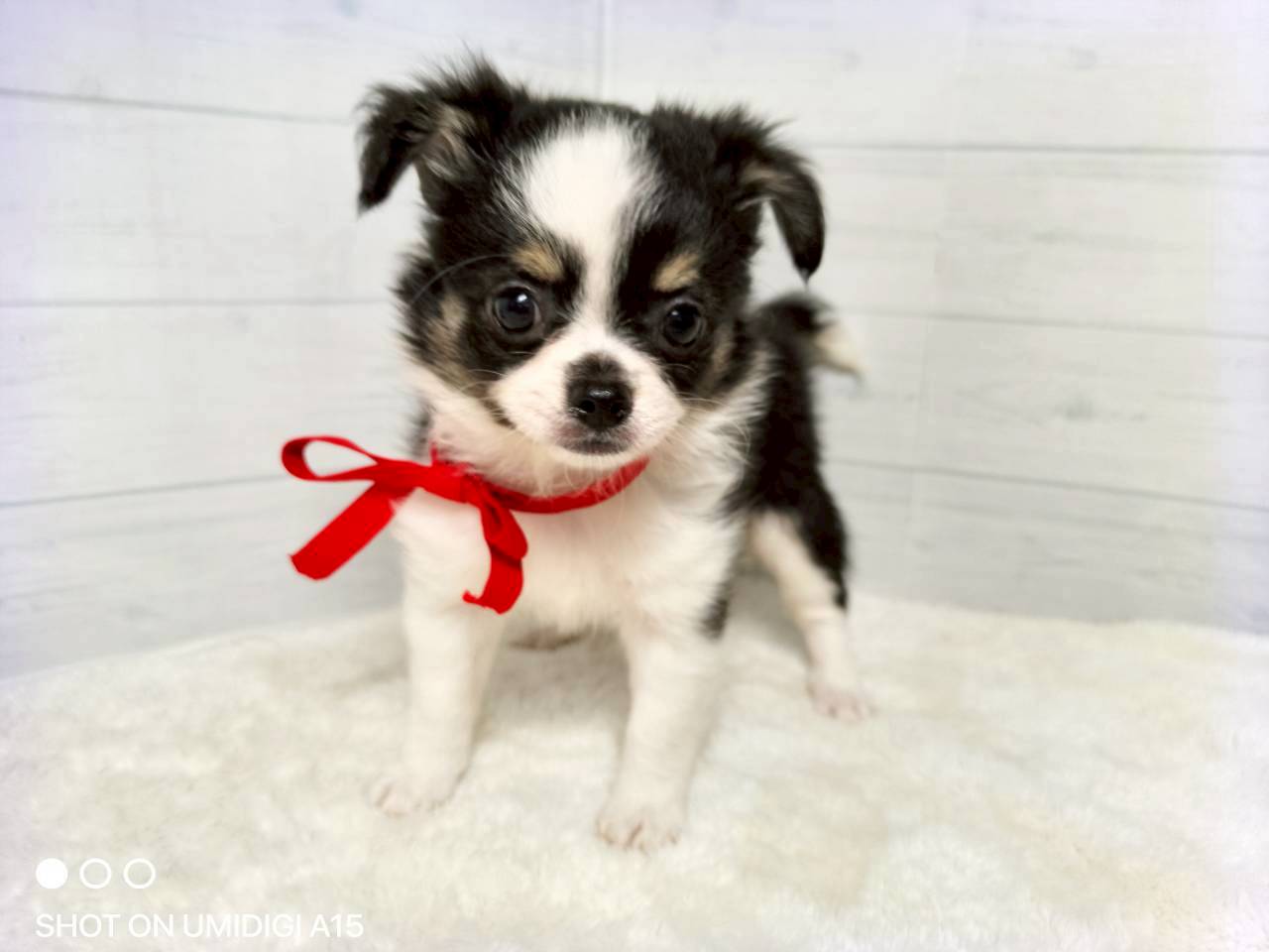 赤ちゃん写真3-1